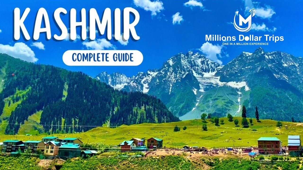 Why Choose Millions Dollar Trips for Your Next Holiday Vacation?